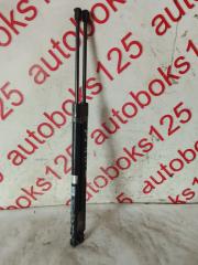 Амортизатор двери Hyundai Grand Starex TQ D4CB 817804H000 1 ракурс Амортизатор двери Hyundai Grand Starex TQ D4CB 817804H000 1 ракурс