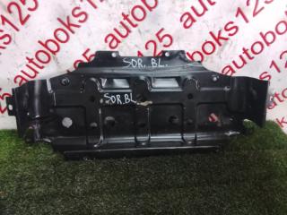 Защита двигателя Kia Sorento BL D4CB 2 ракурс