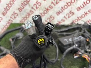 Проводка под капотом HYUNDAI Terracan HP J3 91231H1132 3 ракурс