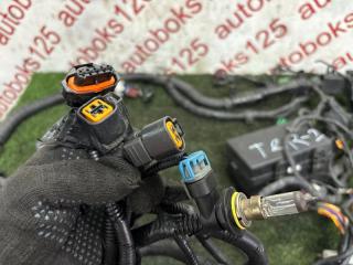 Проводка под капотом HYUNDAI Terracan HP J3 91231H1132 4 ракурс