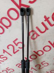 Амортизатор двери Kia Sorento BL D4CB 817713e021, 817813e021 4 ракурс
