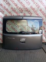 Дверь 5-я Kia Soul AM G4FC 737002K000 1 ракурс