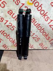 Амортизатор задний DAEWOO WINSTORM 2009