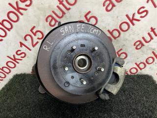 Ступица левая задняя Hyundai Santa Fe CM D4EB BC140105 1 ракурс