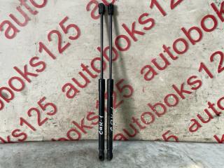 Амортизатор капота HYUNDAI Santa Fe CM D4EB 811602B010 1 ракурс