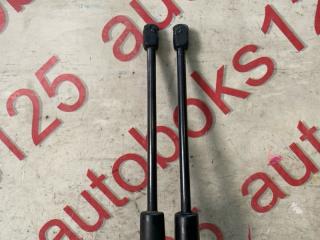 Амортизатор двери HYUNDAI Santa Fe CM D4EB 817702B001 3 ракурс Амортизатор двери HYUNDAI Santa Fe CM D4EB 817702B001 3 ракурс