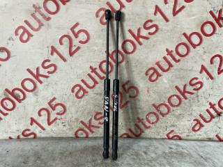 Амортизатор капота HYUNDAI Santa Fe CM D4EB 811602B010 1 ракурс
