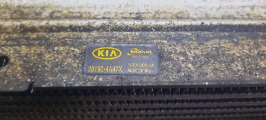 Радиатор интеркулера Kia Sorento BL D4CB 281904A47X, 3930084400, 281904a470 2 ракурс
