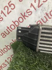 Радиатор интеркулера Daewoo Winstorm KLAC Z20S 96629070 2 ракурс