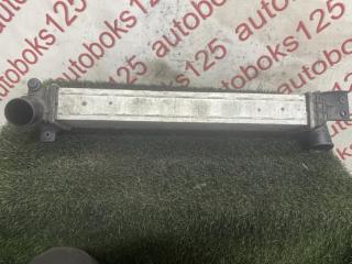 Радиатор интеркулера SsangYong Actyon CK D20DTF 3 ракурс Радиатор интеркулера SsangYong Actyon CK D20DTF 3 ракурс