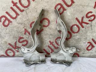 Крепление капота Hyundai Grand Starex TQ D4CB 2 ракурс