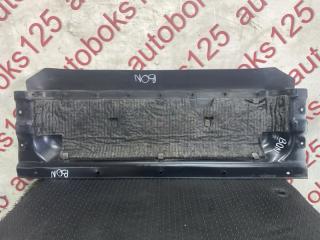 Защита двигателя Kia Bongo PU J3 1 ракурс