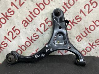 Рычаг правый передний Hyundai Santa Fe CM D4EB 545012BXXX, 545842B000 1 ракурс