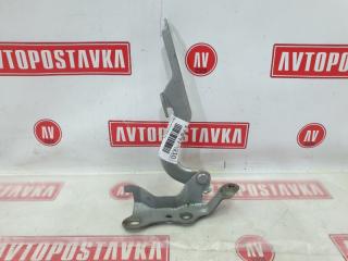 Запчасть петля капота передняя левая TOYOTA SIENTA 01.2008
