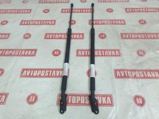 Амортизатор двери багажника NISSAN X-TRAIL 09.2012