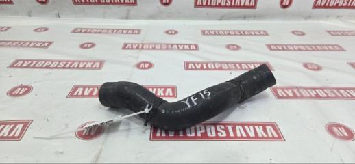 Фото запчасти шланг радиатора NISSAN JUKE 01.2011г. контрактная запчасть Запчасть шланг радиатора NISSAN JUKE 01.2011г.