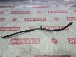 Запчасть шланг тормозной передний левый TOYOTA COROLLA FIELDER 05.2016