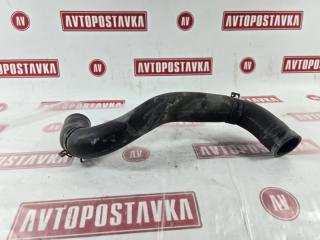 Фото запчасти шланг радиатора NISSAN JUKE 09.2010 г. контрактная запчасть Запчасть шланг радиатора NISSAN JUKE 09.2010 г.