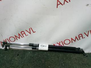 Амортизатор капота SUBARU EXIGA YA4 EJ204 57251YC000 1 ракурс