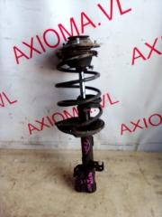 Стойка подвески правая передняя TOYOTA OPA ZCT10 1ZZFE 4581069135 1 ракурс