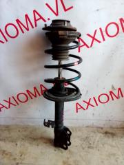 Стойка подвески левая передняя TOYOTA OPA ZCT10 1ZZFE 4581069015 1 ракурс