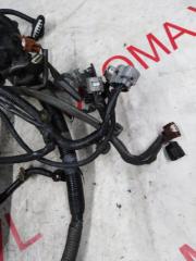 Коса двс TOYOTA ESTIMA ACR50 2AZFE 8212128A40 4 ракурс