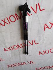 Амортизатор задней двери HONDA ACCORD CW2 K24A 74820TL4G31 1 ракурс