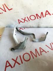 Петля капота HONDA ELYSION RR3 J30A 74270SJK000, 74280SJK000 5 ракурс