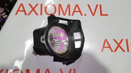 Туманка правая передняя TOYOTA PORTE NNP11 1NZFE 8121042050, 42-34 1 ракурс Туманка правая передняя TOYOTA PORTE NNP11 1NZFE 8121042050, 42-34 1 ракурс