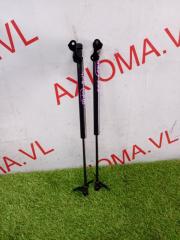 Амортизатор задней двери HONDA FIT GP6 LEB 74820T5AZ01, 74870T5AZ01 1 ракурс Амортизатор задней двери HONDA FIT GP6 LEB 74820T5AZ01, 74870T5AZ01 1 ракурс