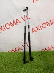 Амортизатор задней двери MAZDA MPV LW3W L3DE LC6262620C, LC6263620C 1 ракурс