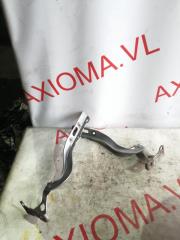 Петля капота HONDA FIT GD4 L15A 60120SAA000ZZ, 60170SAA000ZZ 1 ракурс