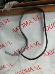 Уплотнительная резинка дверей правая задняя TOYOTA SUCCEED NCP58 1NZFE 6233352060B0 5 ракурс