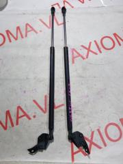 Амортизатор задней двери MAZDA CX-3 DKEFW PEVPS D10E62620A 4 ракурс Амортизатор задней двери MAZDA CX-3 DKEFW PEVPS D10E62620A 4 ракурс