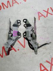 Петля капота BMW 3-SERIES E90 N46B20 41617210678, 41617210677 2 ракурс