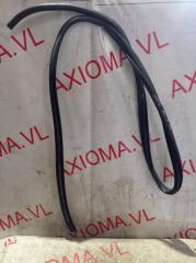 Уплотнительная резинка дверей левая задняя TOYOTA AQUA NHP10 1NZFXE 6233252110 5 ракурс Уплотнительная резинка дверей левая задняя TOYOTA AQUA NHP10 1NZFXE 6233252110 5 ракурс