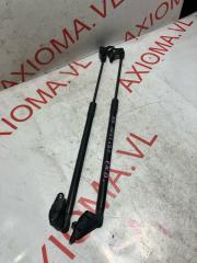 Амортизатор багажника NISSAN LEAF ZE1 EM57 904505SK1A, 904515SK1A 5 ракурс