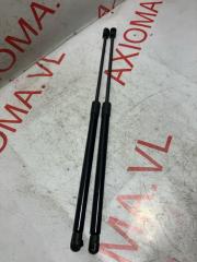 Запчасть амортизатор задней двери JEEP COMPASS 2011