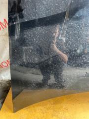 Капот TOWNCAR 1998 FN145 MODULAR V8