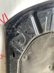 Капот TOWNCAR 1998 FN145 MODULAR V8