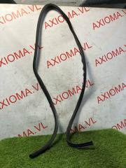 Запчасть уплотнительная резинка дверей задняя левая JEEP COMPASS 2011