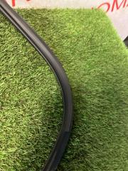 Уплотнительная резинка дверей левая передняя NISSAN LEAF ZE1 EM57 769213NA1C 5 ракурс Уплотнительная резинка дверей левая передняя NISSAN LEAF ZE1 EM57 769213NA1C 5 ракурс