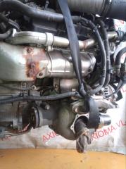 Двигатель NISSAN STAGEA NM35 VQ25DET 10102AQ8A0 5 ракурс