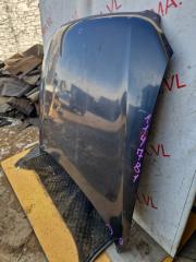 Капот NISSAN STAGEA NM35 VQ25DET 65100AQ030 5 ракурс