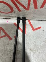 Амортизатор капота BMW 3-SERIES E91 N52B25A 7129190 2 ракурс