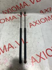 Амортизатор задней двери BMW 3-SERIES E91 N52B25A 51247127875 4 ракурс