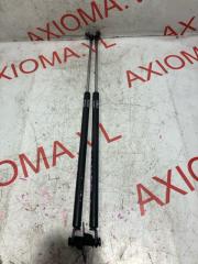 Амортизатор задней двери SUBARU STELLA RN1 EN07D 63269KJ000, 63269KJ010 1 ракурс Амортизатор задней двери SUBARU STELLA RN1 EN07D 63269KJ000, 63269KJ010 1 ракурс