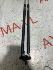Амортизатор задней двери SUBARU STELLA RN1 EN07D 63269KJ000, 63269KJ010 3 ракурс Амортизатор задней двери SUBARU STELLA RN1 EN07D 63269KJ000, 63269KJ010 3 ракурс