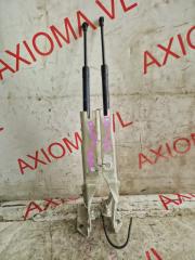 Петля капота BMW 3-SERIES E91 N52B25A 41617210678, 41617210677 1 ракурс