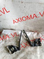 Петля капота AUDI A4 8K5 CDNC 8K0823302D, 8K0823301D 2 ракурс